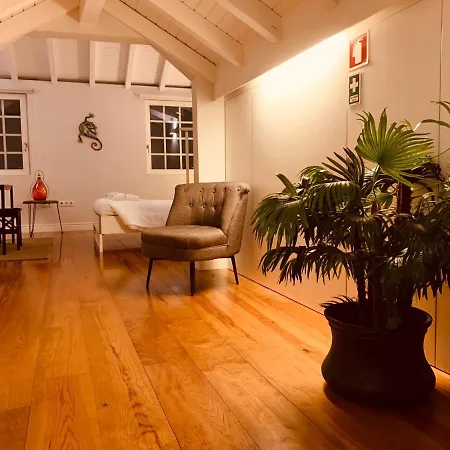 Alegria Studio - Center Apartamento *